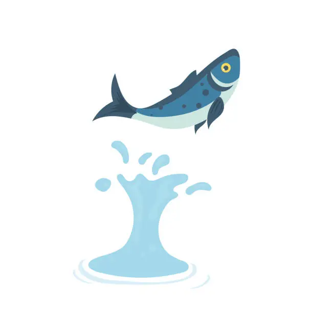 Vector illustration of Fish jumps out of the water. Fish isolated on a white background. Vector.