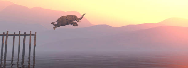 Elephant jumping in lake during sunset. This is a 3d render illustration .