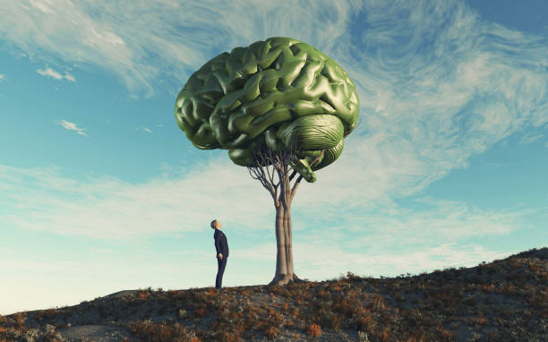 man looking up to a human brain tree . mental illness and knowledge concept . this is a 3d render illustration . - growth global business global communications healthcare and medicine imagens e fotografias de stock