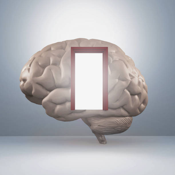 istock Human brain with a door . This is a 3d render illustration . 1308041218