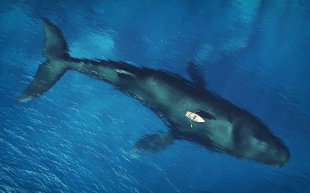 vista aérea de un barco rojo y una ballena bajo el agua. esta es una ilustración de renderización 3d. - large mammal fotografías e imágenes de stock