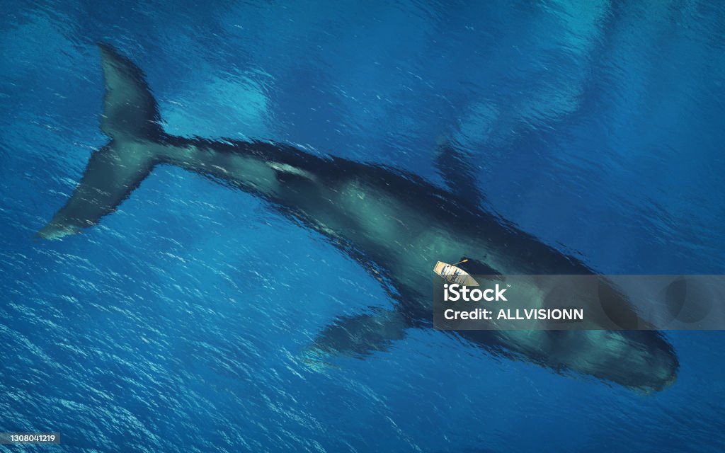 Aerial view of a red boat and a whale underwater . This is a 3d render illustration . Whale Stock Photo