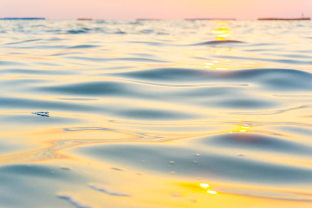 istock Abstract blurred sea wave bach sunset warm light 1308044756
