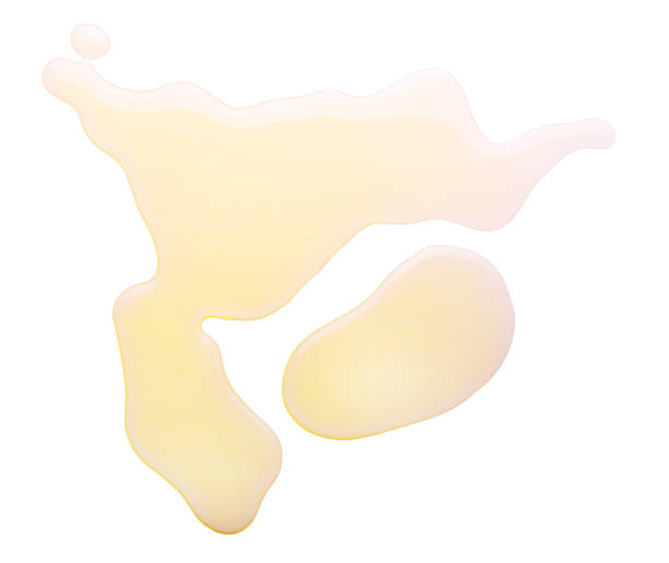 istock sunflower oil isolated on white background 1308045583