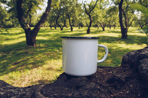 Enamel white mug on apple tree branch mockup. Stock countryside photo with white metal cup. Rustic scene, product mock up template. Lifestyle outdoors, trekking and camping design.