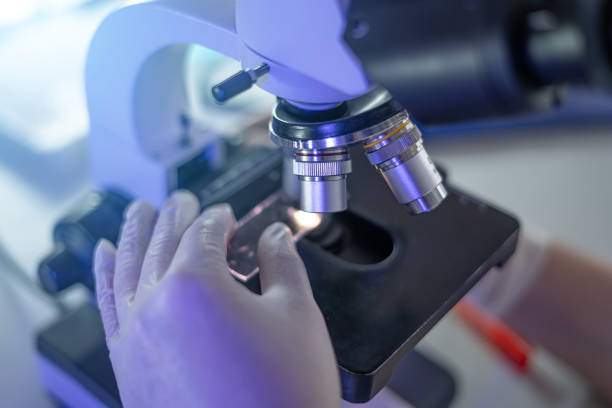 istock microscope in biotechnological laboratory, professional equipment 1308050093