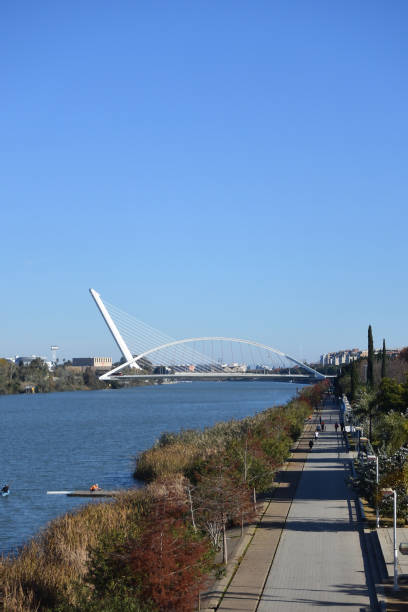 istock Alamillo Bridge, Sevilla, Spain, Europe 1308050164
