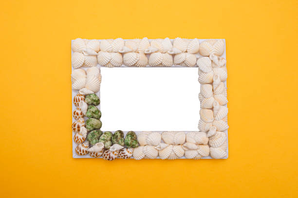istock Photo frame made of seashells with empty white space inside on yellow background 1308051072