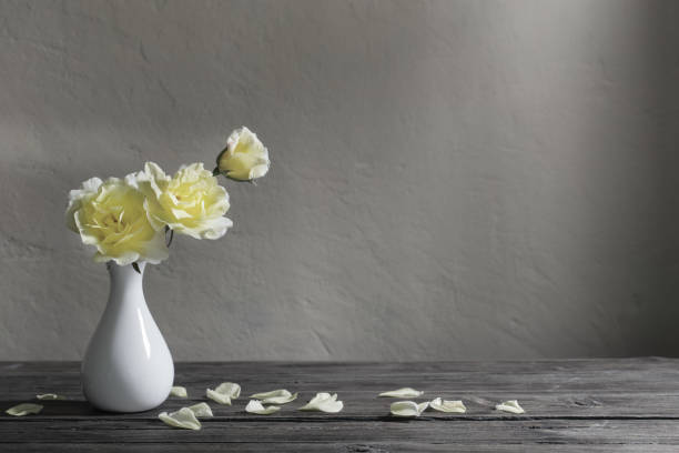 istock yellow roses in white vase on background gray wall 1308051966