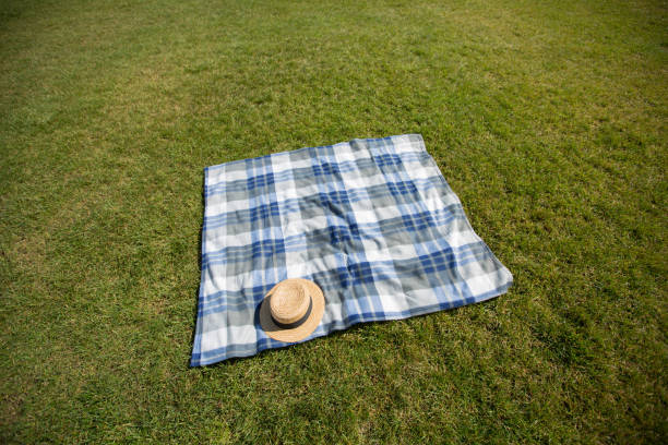 istock Blue plaid picnic cloth on green grass top view 1308058187