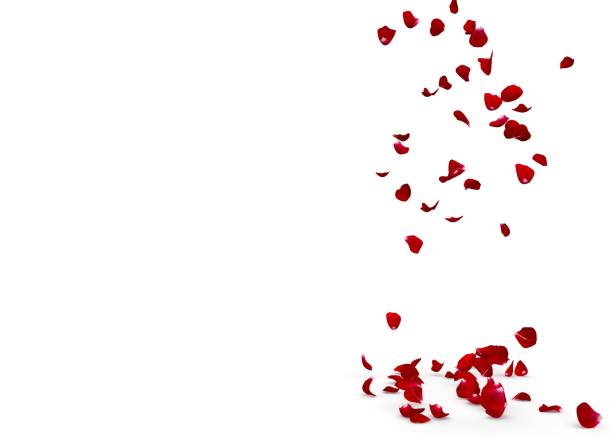istock Red rose petals fall to the floor 1308059118