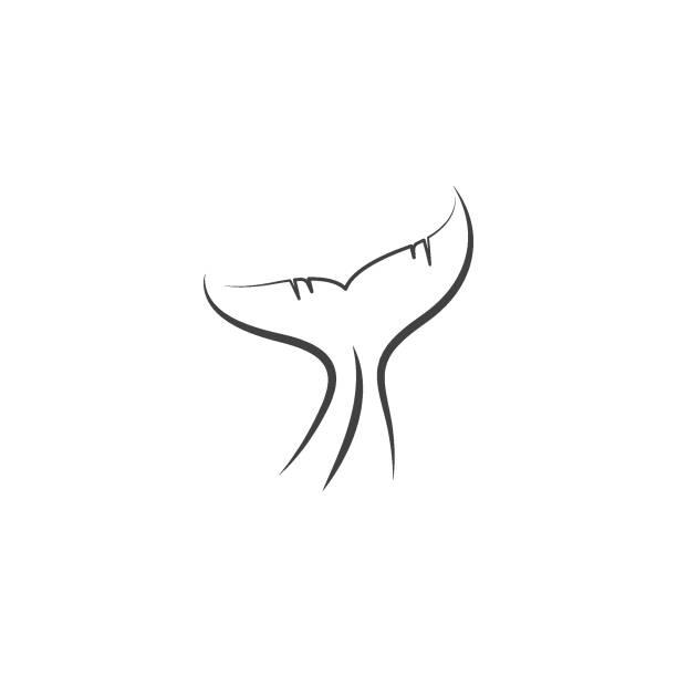 wal schwanz linie kunst symbol vektor illustration design - beluga whale stock-grafiken, -clipart, -cartoons und -symbole