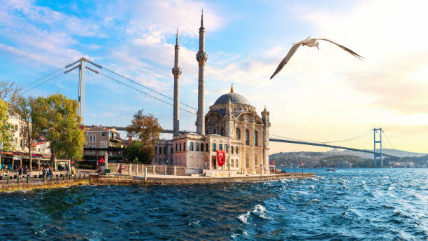 istock Seagull flies by the Bosphorus bridge and Ortakoy Mosque, Istanbul 1308062484