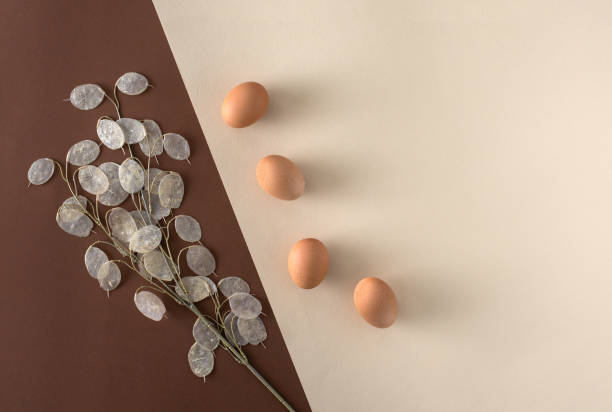 Artistic modern Easter layout with natural chicken eggs and decorative dry plant