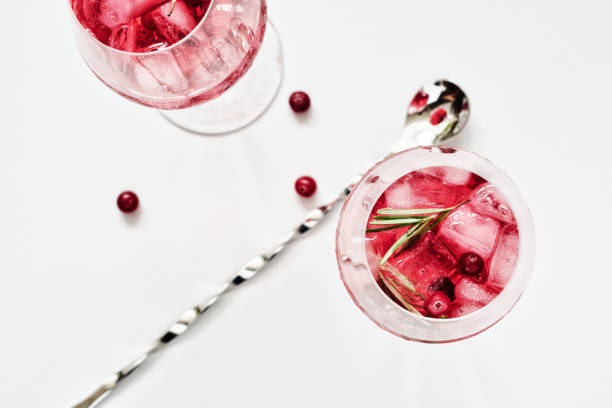 istock Cranberry rosemary spritzer drink. 1308063519