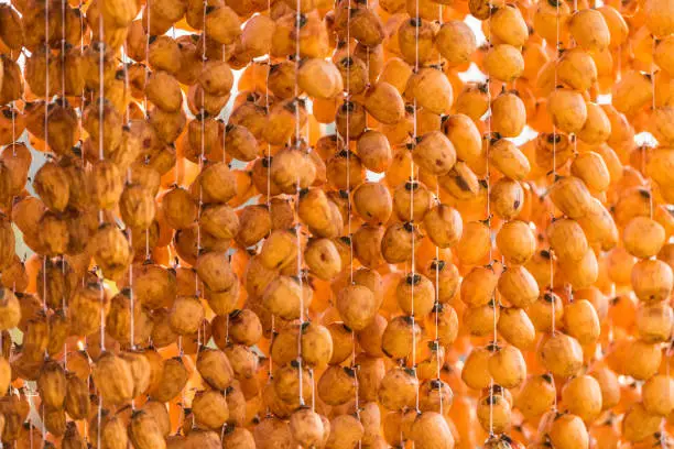 Photo of dried persimmons in autumn