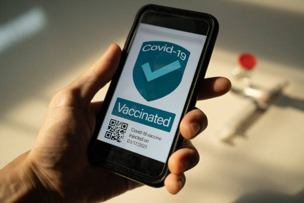istock Covid-19 vaccine passport concept. QR code contain the word 