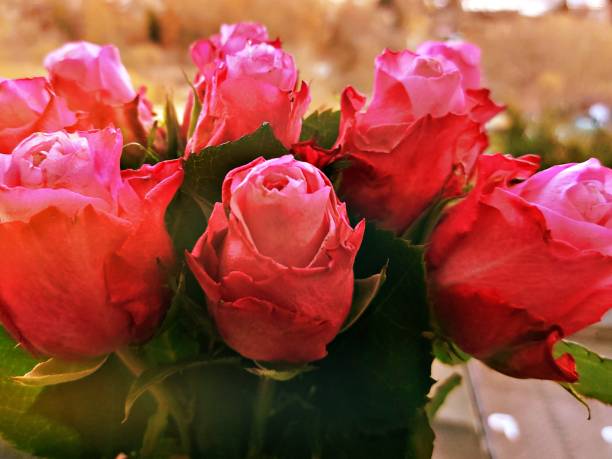 Fresh flowers