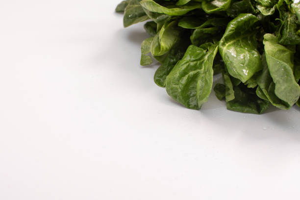 Spinach leaves with a place for writing on a white background