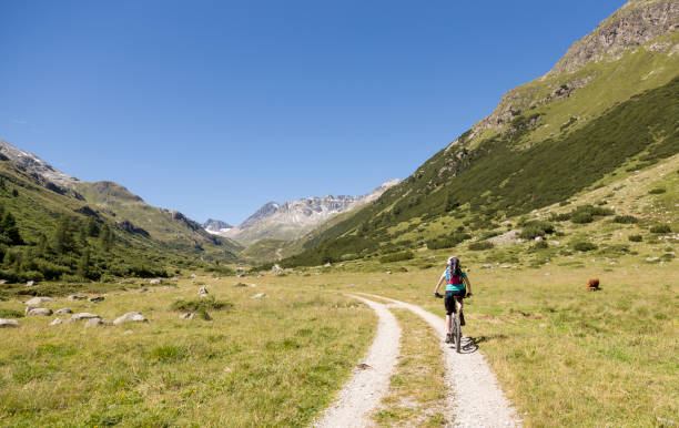 scenic mountainbiking à bever valley, suisse. - st moritz summer engadine engadin valley photos et images de collection