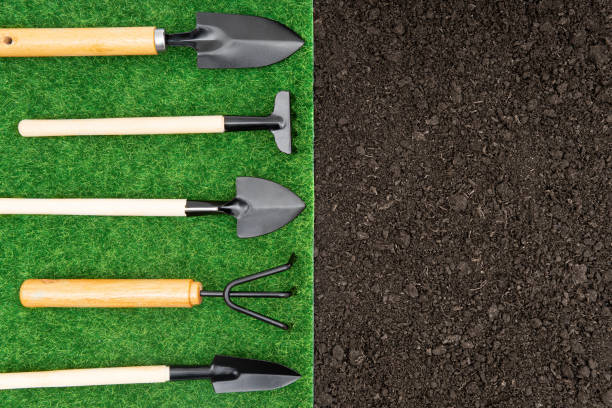 istock Set of gardening tools 1308077066