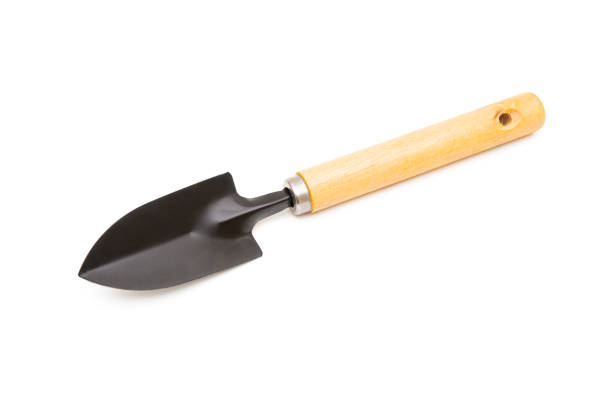 istock Garden hand transplanter isolated on white background 1308077070