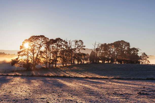 The sun rises on a cold winter's morning in the Yarra Valley, Victoria, Australia