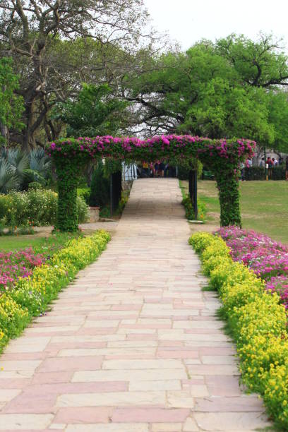 Beautiful Garden path in Lodi Gardens Beautiful Garden path in Lodi Gardens, New Delhi, India lodi gardens stock pictures, royalty-free photos & images