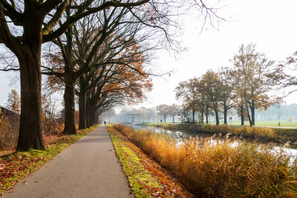 paysage d’automne aux apeldoorns kanaal près d’eerbeek, pays-bas - apeldoorn photos et images de collection