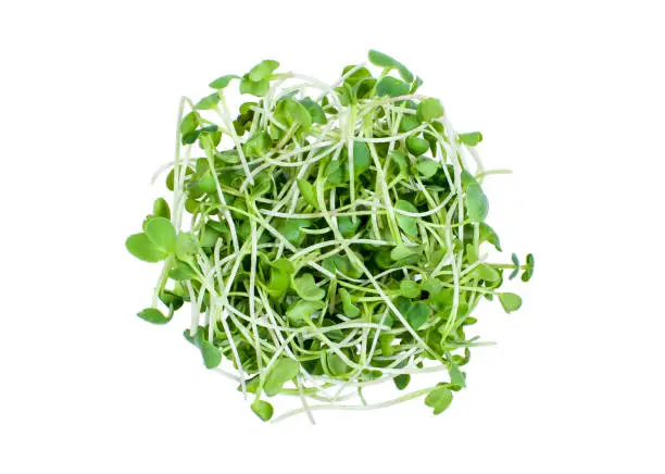 Photo of Lots of cut radish microgreens. Isolated on white background. View from above. Healthy eating
