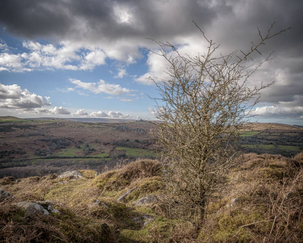 istock Haytor Vale, Tramway and Smallacombe Rocks, Dartmoor, Devon 1308084721