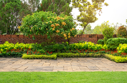 Backyard English cottage garden, colorful flowering plant and green grass lawn, brown pavement and orange brick wall, evergreen trees on background, in good care maintenance landscaping in park