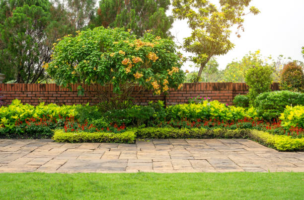 Backyard English cottage garden, colorful flowering plant and green grass lawn, brown pavement and orange brick wall, evergreen trees on background, in good care maintenance landscaping in park stock photo