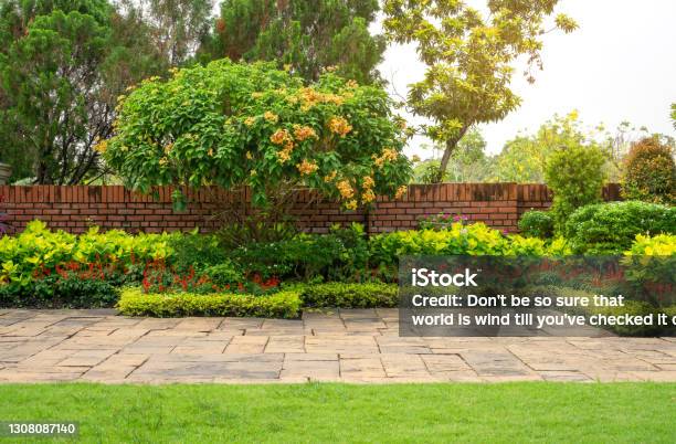 Backyard English Cottage Garden Colorful Flowering Plant And Green Grass Lawn Brown Pavement And Orange Brick Wall Evergreen Trees On Background In Good Care Maintenance Landscaping In Park Stock Photo - Download Image Now