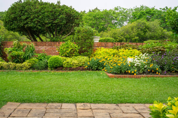 bakgård engelsk stugträdgård, färgglad blommande växt och grön gräs gräsmatta, brun trottoar och orange tegelvägg, vintergröna träd på bakgrunden, i god vård underhåll landskapsarkitektur i parken - trädgård bildbanksfoton och bilder