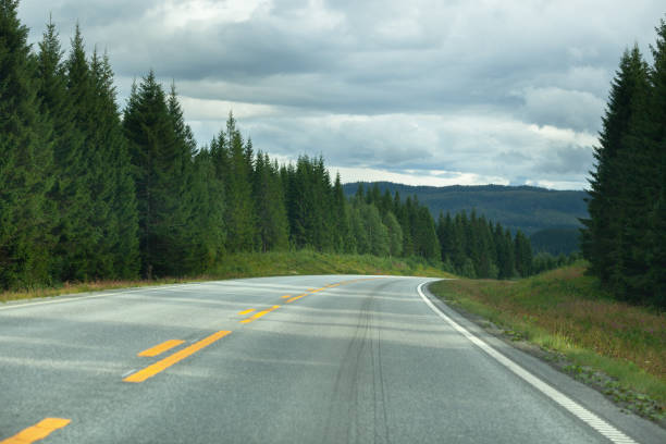 istock Road or highway with forest and sky with clouds 1308097545