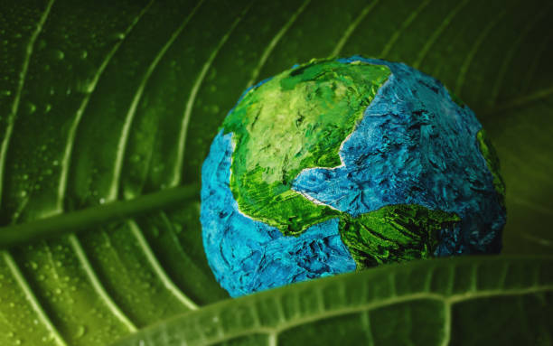World Earth Day Concept. Green Moisture Leaf with Droplet Water Embracing a Handmade Globe. Environment to Love and Care World Earth Day Concept. Green Moisture Leaf with Droplet Water Embracing a Handmade Globe. Environment to Love and Care earthday stock pictures, royalty-free photos & images