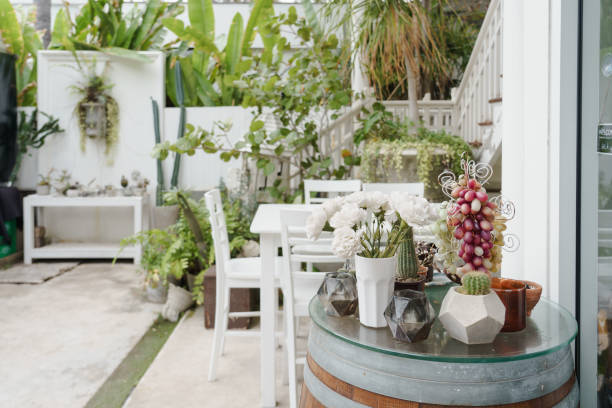 istock many cactus and white flowerpot on table in beautiful garden background. 1308102502