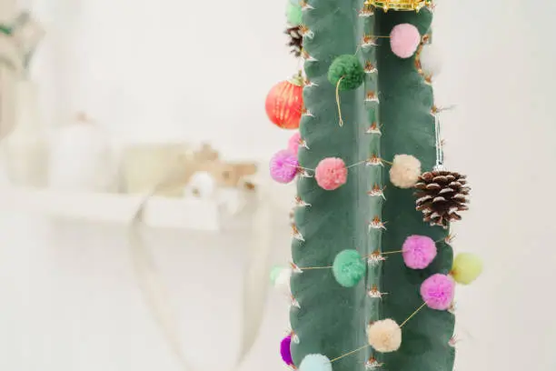 Photo of Cute cactus decorations with colorful pom poms for Christmas theme.