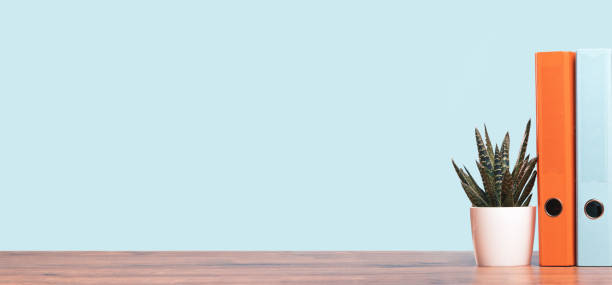 istock Colorful document binders or lever arch file on a shelf or desk banner 1308109010