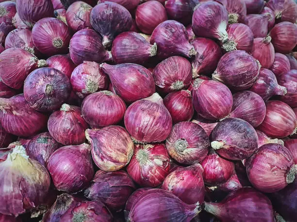 Full Frame Background of Pile of Red Shallots