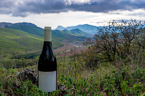 Wine in the mountains against the background of nature