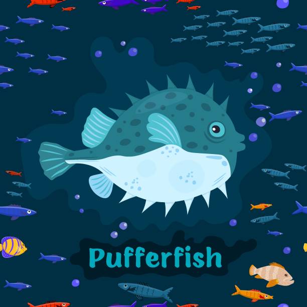 Pufferfish. Endangered fish species concept. Vector illustration Pufferfish. Endangered fish species. Threatened fish stocks. Save the ocean concept. Editable vector illustration in bright colors. Colorful cartoon flat style. squab pigeon meat stock illustrations