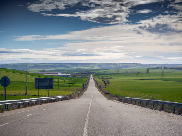 istock Rural road on a farm with cultivated wheat fields 1308123925