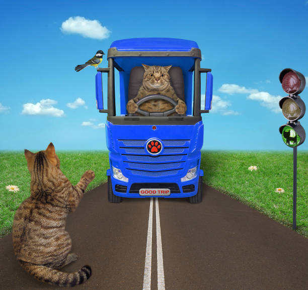 istock Cat beige hitchhiking along road 1308131796