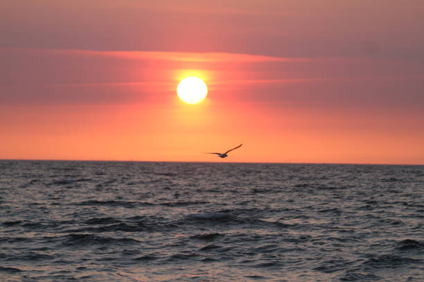 istock Sun Rise over the ocean 1308135554