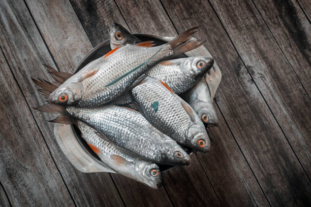 Fresh fish on the table in an iron bowl.
