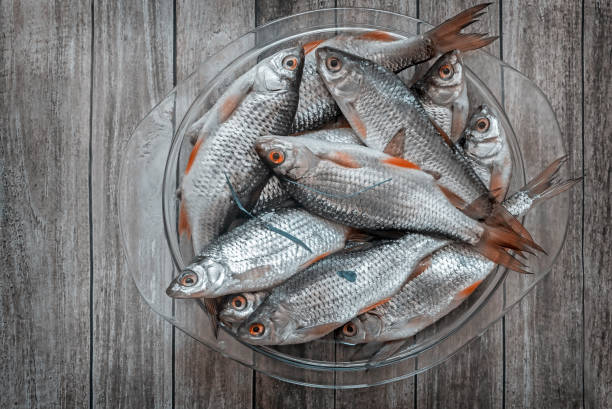 istock Fresh fish on the table on a white plate. 1308138763