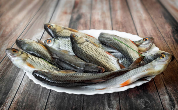 A small river fish to the surface of the table.