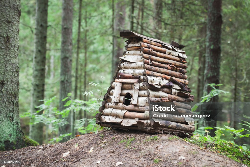 Small wooden hut for wild animals Small wooden hut for wild animals made of birch planks Animal Stock Photo